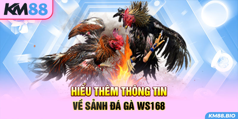 hieu-them-thong-tin-ve-sanh-da-ga-ws168