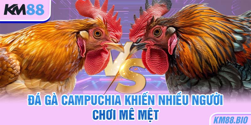 da-ga-campuchia-khien-nhieu-nguoi-choi-me-met