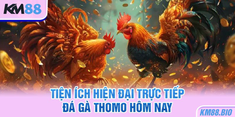 tien-ich-hien-dai-truc-tiep-da-ga-thomo-hom-nay