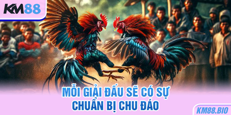 moi-giai-dau-se-co-su-chuan-bi-chu-dao